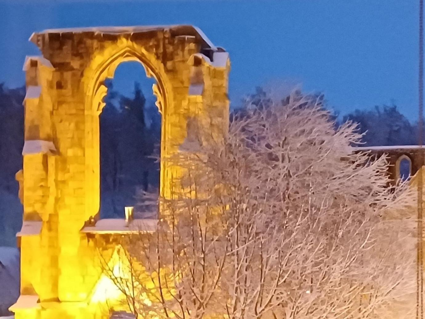 Ferienwohnungen Klosterblick Walkenried 외부 사진