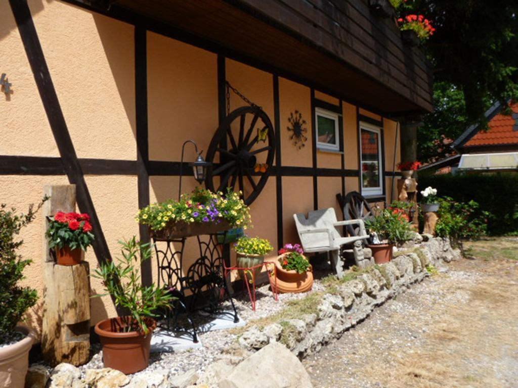 Ferienwohnungen Klosterblick Walkenried 외부 사진
