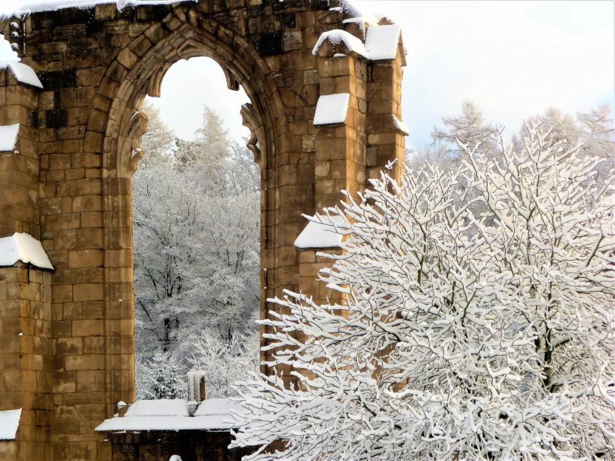 Ferienwohnungen Klosterblick Walkenried 외부 사진